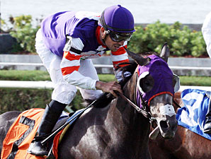 Mucho Mas Macho wins the 2012 Needles Stakes.