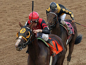 Muir Woods wins the 2011 Norm Barron Queen City Oaks.