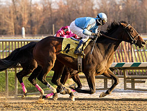 Music Please wins the 2010 Squan Song.
