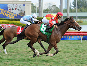 Musical Flair wins the 2012 Needles Stakes.