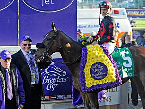 Musical Romance wins the 2011 Breeders' Cup Filly & Mare Sprint.
