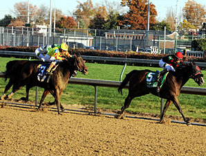 Musical Romance wins the 2011 Breeders' Cup Filly & Mare Sprint.