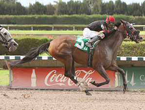 Musical Romance wins the 2011 U Can Do It.
