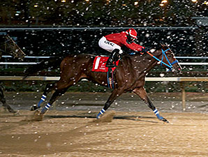 Musicinthehouse wins the 2013 Sophomore Sprint Championship Stakes.