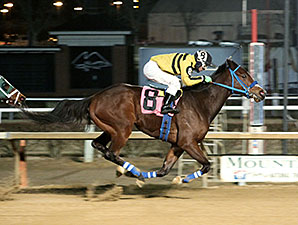 Musicinthehouse wins the 2014 Welcome Back Dash Allowance.