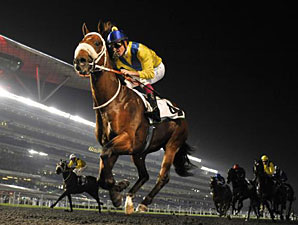 Musir wins the 2012 Maktoum Challenge Round 1.