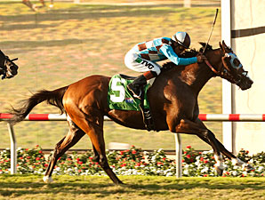 My Best Brother wins the Del Mar Derby.