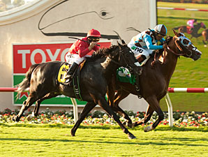 My Best Brother wins the 2012 Oceanside.