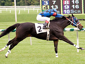 My Main Starr wins the 2010 Dahlia Stakes.
