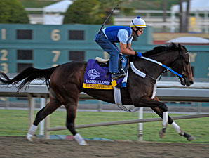 My Miss Aurelia at Santa Anita 10/28/2012.