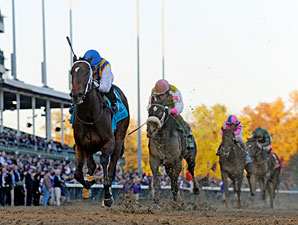 My Miss Aurelia wins the 2011 Breeders' Cup Juvenile Fillies.