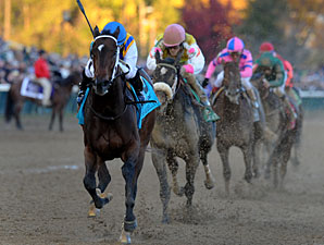 My Miss Aurelia wins the 2011 Breeders' Cup Juvenile Fillies.
