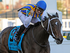 My Miss Aurelia wins the 2011 Breeders' Cup Juvenile Fillies.
