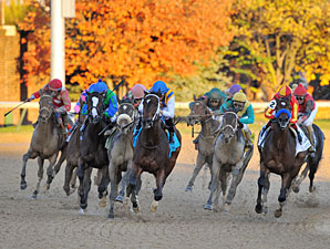 My Miss Aurelia wins the 2011 Breeders' Cup Juvenile Fillies.
