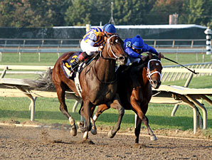 My Miss Aurelia wins the 2012 Cotillion Stakes.