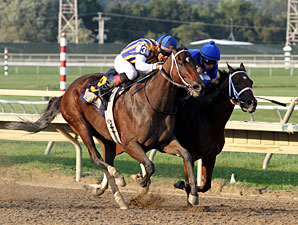 My Miss Aurelia wins the 2012 Cotillion Stakes.
