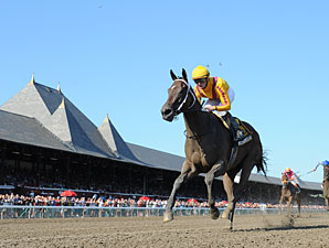 My Miss Aurelia wins the 2012 Mandys Gold.