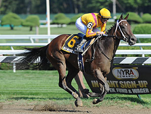 My Miss Aurelia wins the 2012 Mandys Gold.