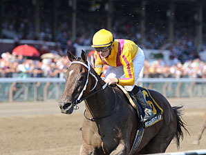 My Miss Aurelia wins the 2012 Mandys Gold.