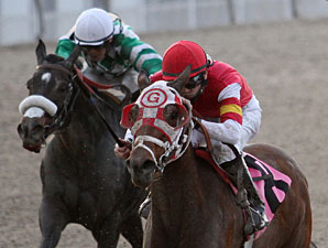 My My My Maria wins the 2013 Pan Zareta.