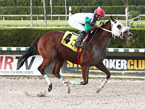 My Pal Chrisy wins the 2012 Elmer Heubeck Distaff Handicap.
