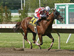 My Place Anytime wins the 2013 Blue Sparkler Stakes.