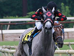 My Point Exactly wins the 2014 Sunday Silence Stakes.