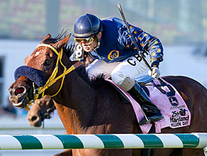 My Sweet Nenana wins the 2010 Maryland Million Ladies.