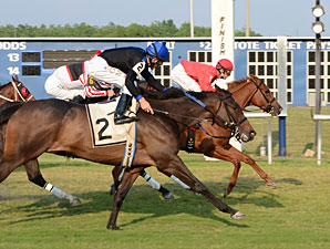 My Three Girls wins the 2012 Tellike Stakes.
