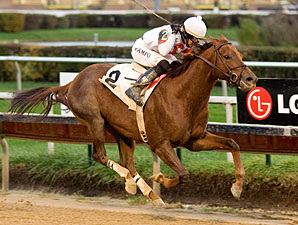 My Time to Star wins the 2009 Sun Power.