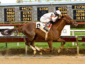 My Time to Star wins the 2009 Sun Power.