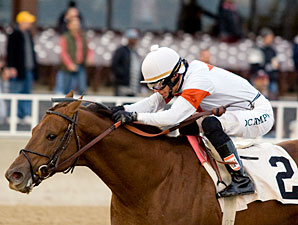 My Time to Star wins the 2009 Sun Power.