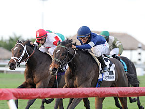 Mystic Love wins the 2012 Dania Beach.