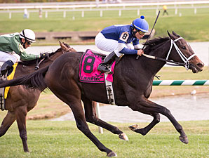 Mystic Love wins the 2012 Selima Stakes.