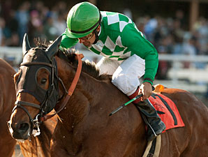 Nahem in the 2011 Snow Chief Stakes.