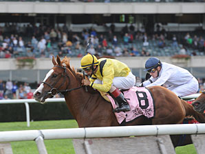 Nahrain wins the 2012 Flower Bowl.