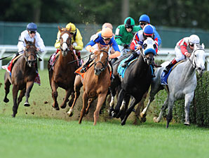 Nahrain wins the 2012 Flower Bowl.