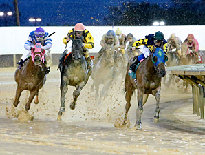 Nana Anna wins the 2013 Rachel's Turn Stakes.