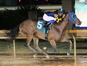 Nana Anna wins the 2013 Rachel's Turn Stakes.