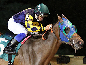 Nana Anna wins the 2013 Rachel's Turn Stakes.