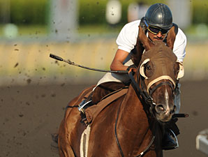 Nanaimo - Woodbine August 2, 2011.