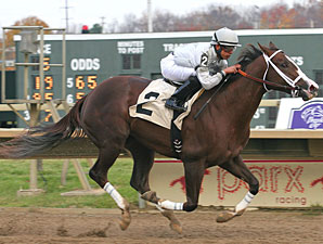Nanaja wins the Donna Freyer Stakes.