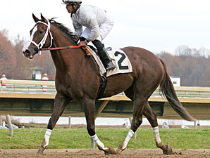 Nanaja wins the Donna Freyer Stakes.