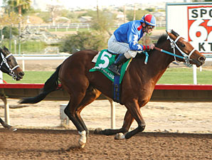 Napili Point wins the 2009 Lost In the Fog Juvenile Stakes.
