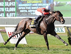 Naples Bay wins the 2012 Noble Damsel.