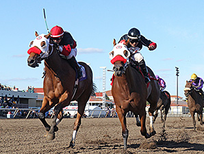 Native American and Grand Full Moon deadheat in the 2014 Shakopee Juvenile Stakes.
