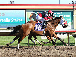 Native American and Grand Full Moon deadheat in the 2014 Shakopee Juvenile Stakes.