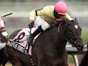 Native Bombshell wins the 2013 Ruling Angel Stakes.