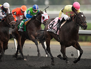 Native Bombshell wins the 2013 Ruling Angel Stakes.