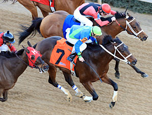 Native Ruler wins the 2011 King Cotton.